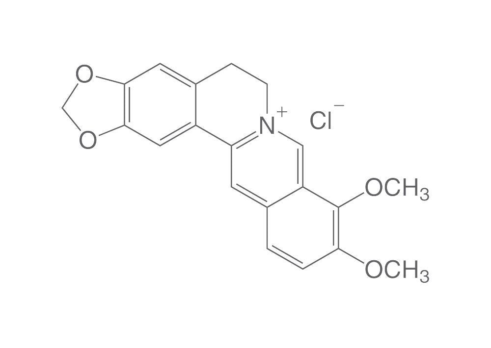 Berberine chloride hydrate, min. 95 %, for biochemistry, 1 g, glass - Luminix Health