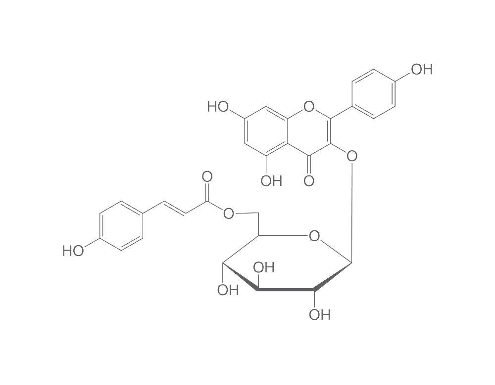 Tilirosid, ROTICHROM® HPLC, 10 mg, glass - Luminix Health