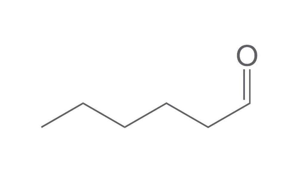 Caproic aldehyde, min. 97 %, for synthesis, 100 ml, glass - Luminix Health