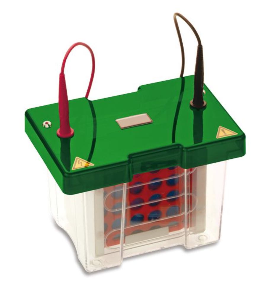 ROTIPHORESE® PROclamp MINI, Tank Blotting System,, 1 unit(s) - Luminix Health