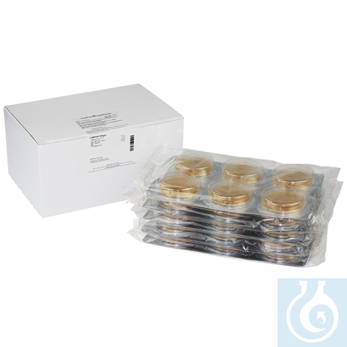 Sabouraud Glucose Agar+Chloramphenicol (Ph. Eur.) (Contact Plate) for microbiolo - Luminix Health