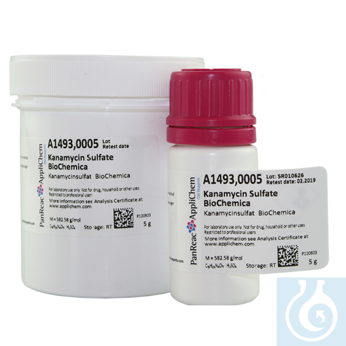 Kanamycin Sulfate BioChemica - Luminix Health