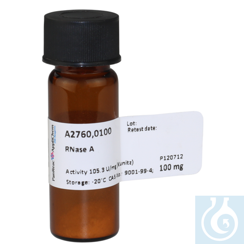 Image of RNase A - Luminix Health