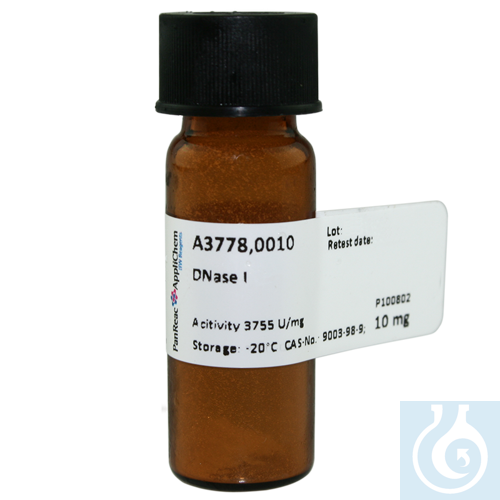 Image of DNase I - Luminix Health
