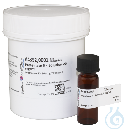 Image of Proteinase K solution 20 mg/ml - Luminix Health