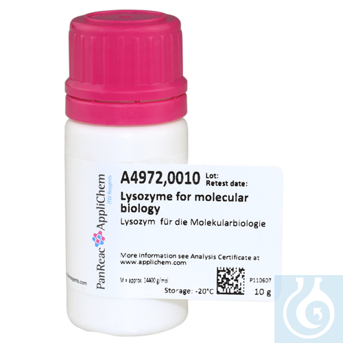 Image of Lysozyme for molecular biology - Luminix Health