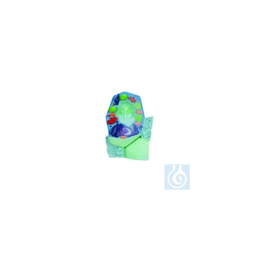 Image of Die pflanzliche Zelle