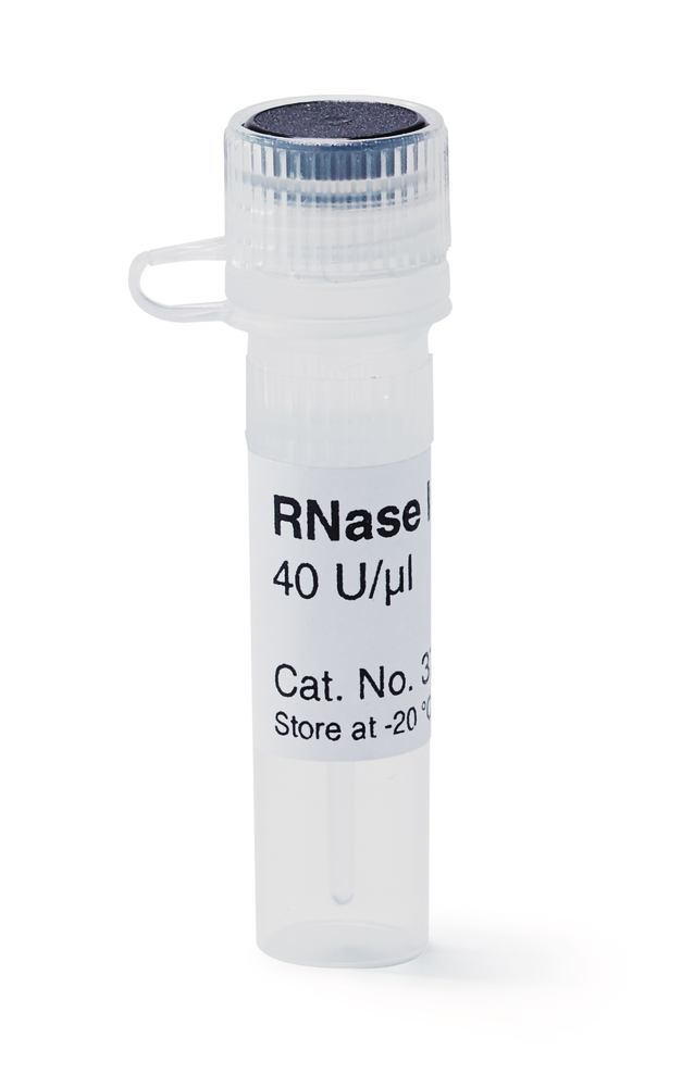RNAse Inhibitor, 40 U/µl,, for Biochemistry and Molecular Biology, 50 µl - Luminix Health