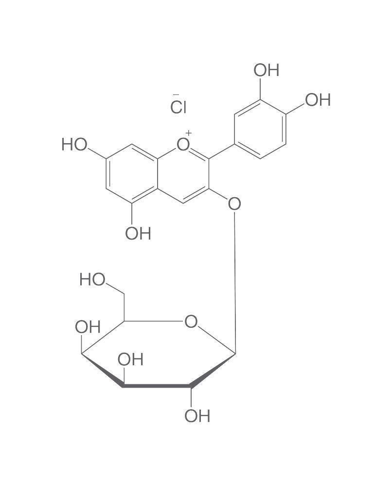 Idaein chloride, ROTICHROM® HPLC, 5 mg, glass - Luminix Health