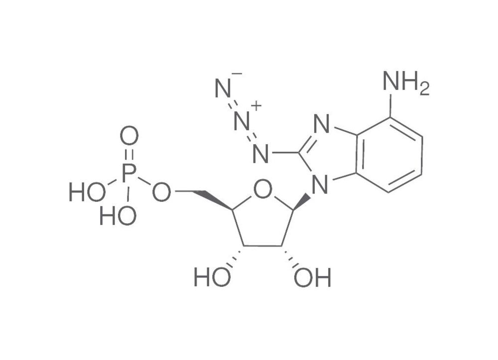 8-Azido-AMP