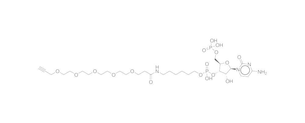 pCp-Azide 20 µl, Carl Roth, art. 3HK5.1