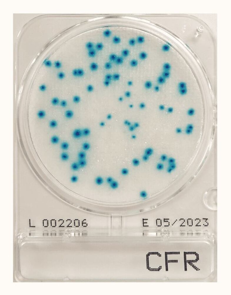 Compact Dry CFR
