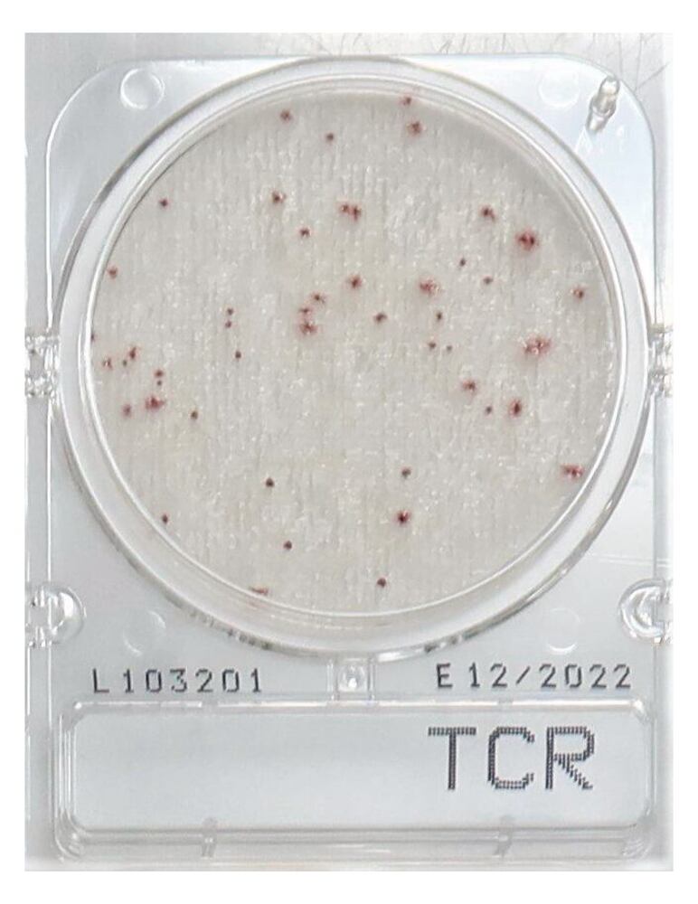 Compact Dry TCR