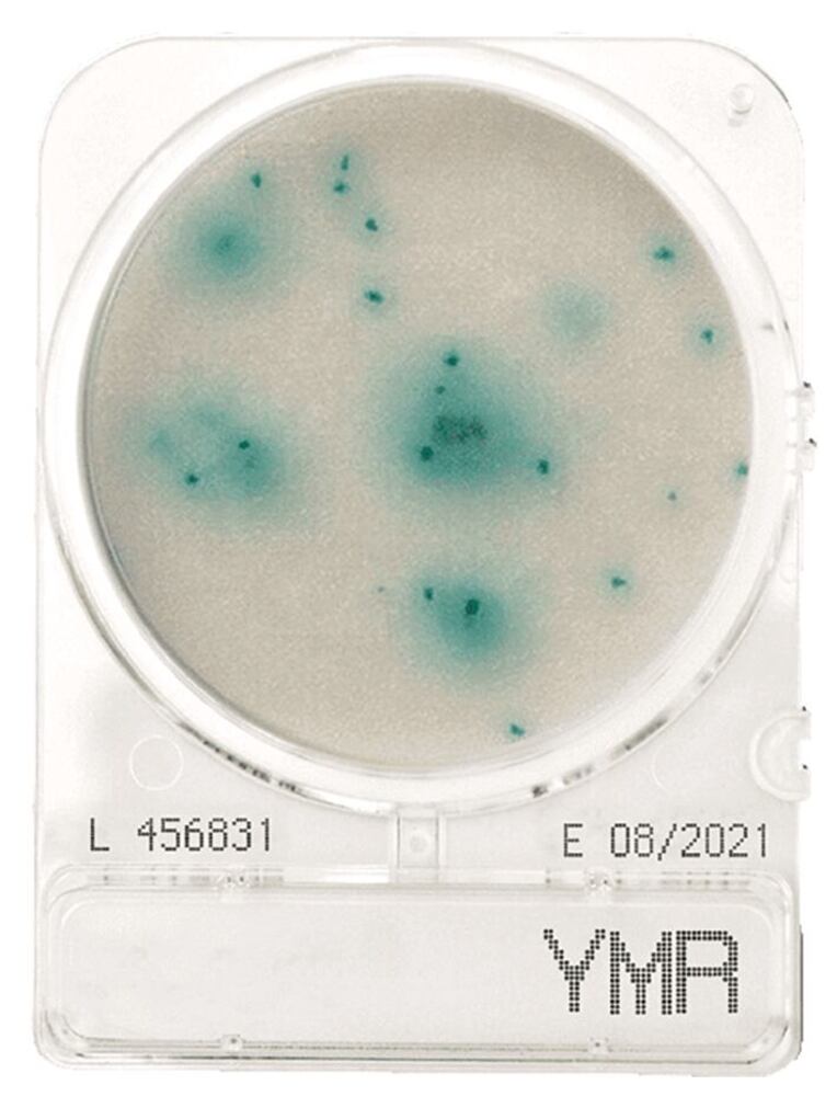 Compact Dry YMR