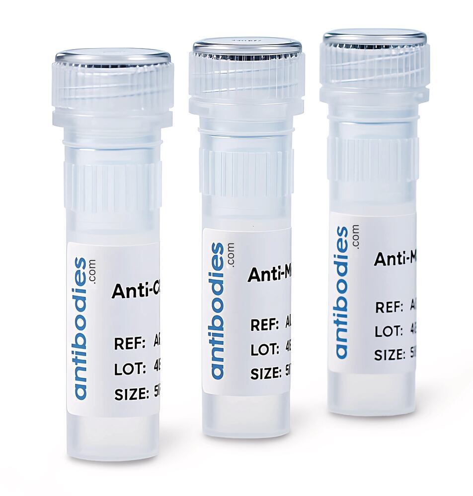 Anti-IL28RA Antibody, 100 µl