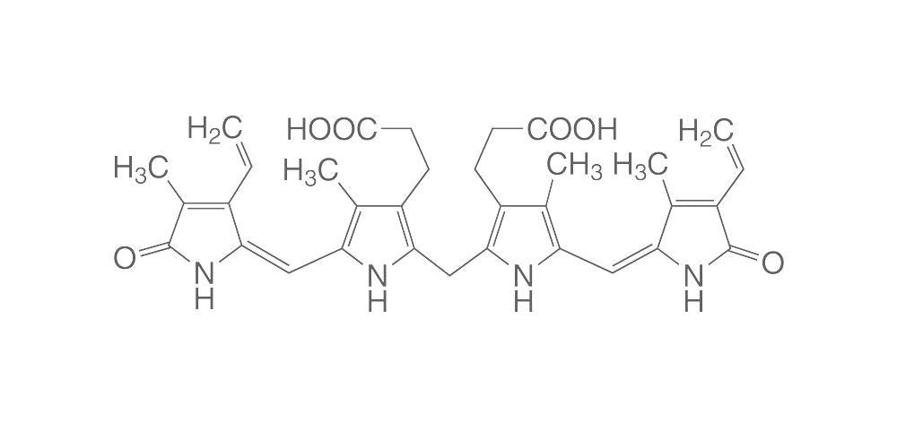 Bilirubin, p.a., 250 mg, glass - Luminix Health