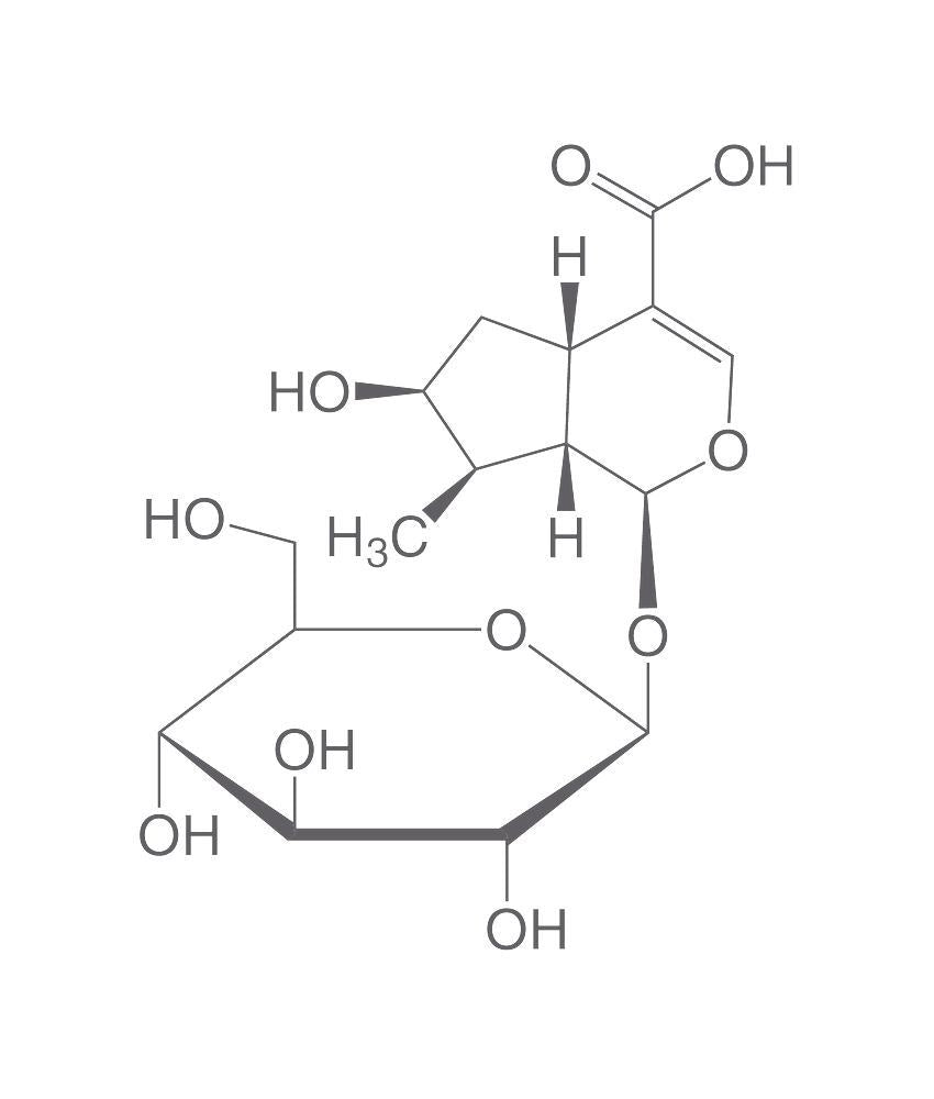 Loganic acid, ROTICHROM® HPLC, 20 mg, glass - Luminix Health