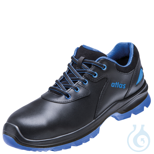 SL 64 ESD - S2 - W10 - Gr.36, black, royal blue - Luminix Health