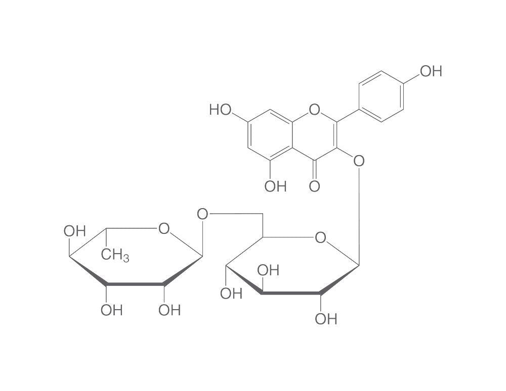 Kaempferol-3-rhamnosidoglucoside, ROTICHROM® HPLC, 10 mg, glass - Luminix Health