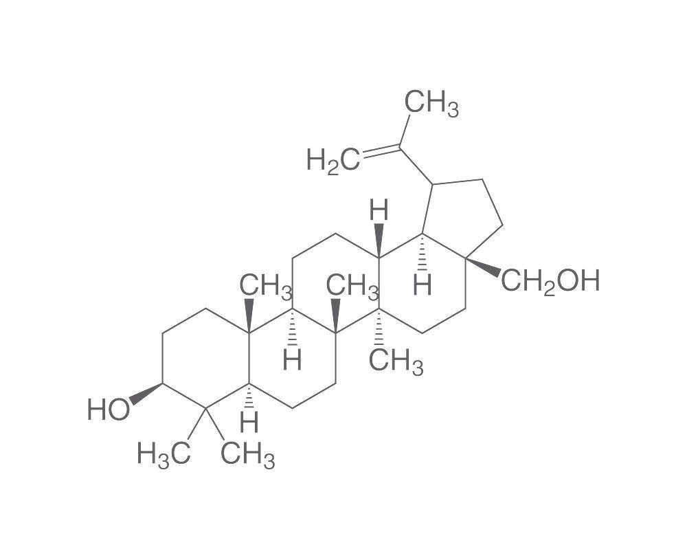 Betulin, ROTICHROM® CHR, 1 g, glass - Luminix Health