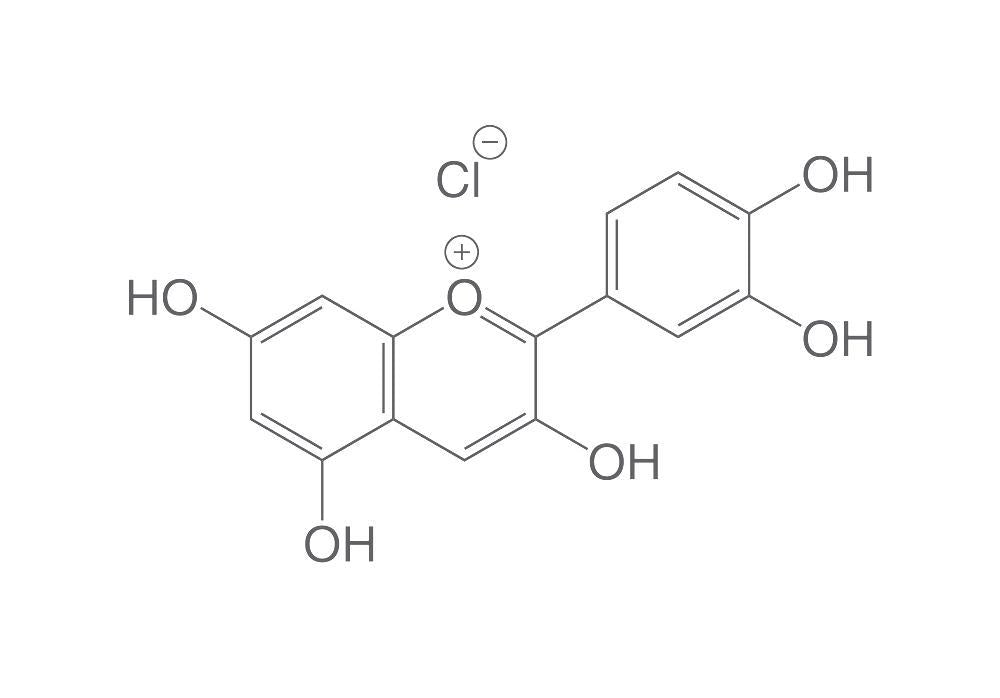 Cyanidin chloride, ROTICHROM® HPLC, 20 mg, glass - Luminix Health