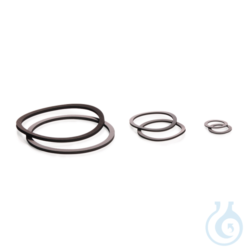 Image of FKM Seals, for Filter Discs - Luminix Health