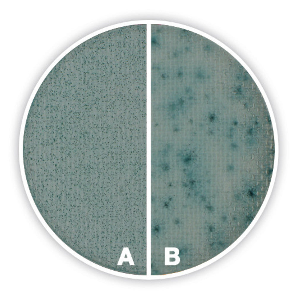 Compact Dry YM, sterile, for microbiology, 8 unit(s), blister - Luminix Health