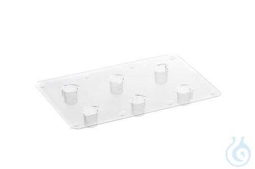 6 WELL INTERMEDIATE LID STERILE - Luminix Health