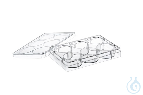 CELL CULTURE MULTIWELL PLATE, 6 WELL, PS, CLEAR,, CELLCOAT®, POLY-L-LYSINE, LID - Luminix Health