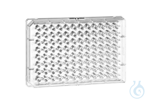 Image of UV-STAR® MICROPLATE, 96 WELL, HALF AREA,, CLEAR, 10 PCS./BAG - Luminix Health