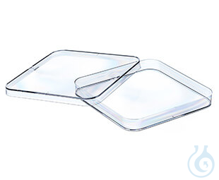 PETRI DISH, SQUARE, PS, CLEAR, 120/120/17 MM,, WITH VENTS, 10 ST./BTL. - Luminix Health
