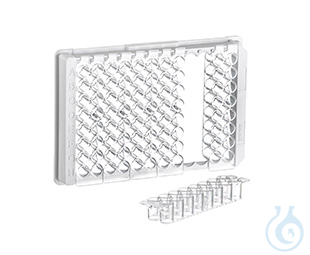 STRIP PLATE, 6xF16, PS, F-BOTTOM,, CLEAR, MICROLON®, MED. BINDING, 10 PCS./BAG - Luminix Health