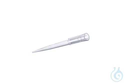 Image of SAPPHIRE TIP 300µl BULK - Luminix Health