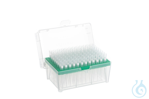 Image of SAPPHIRE FILTERTIP 300µl RACK-LR-S - Luminix Health