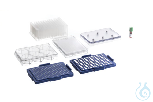 Image of 384 WELL BIO ASSAY KIT, CLEAR,, NANOSHUTTLE 600 µL, 6 WELL + 384 WELL DRIVES,, 6