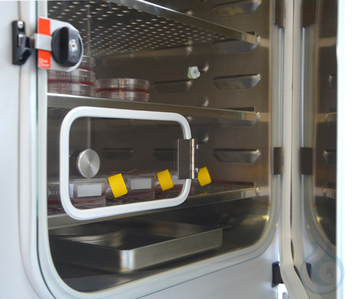Image of Quick sample access - Luminix Health