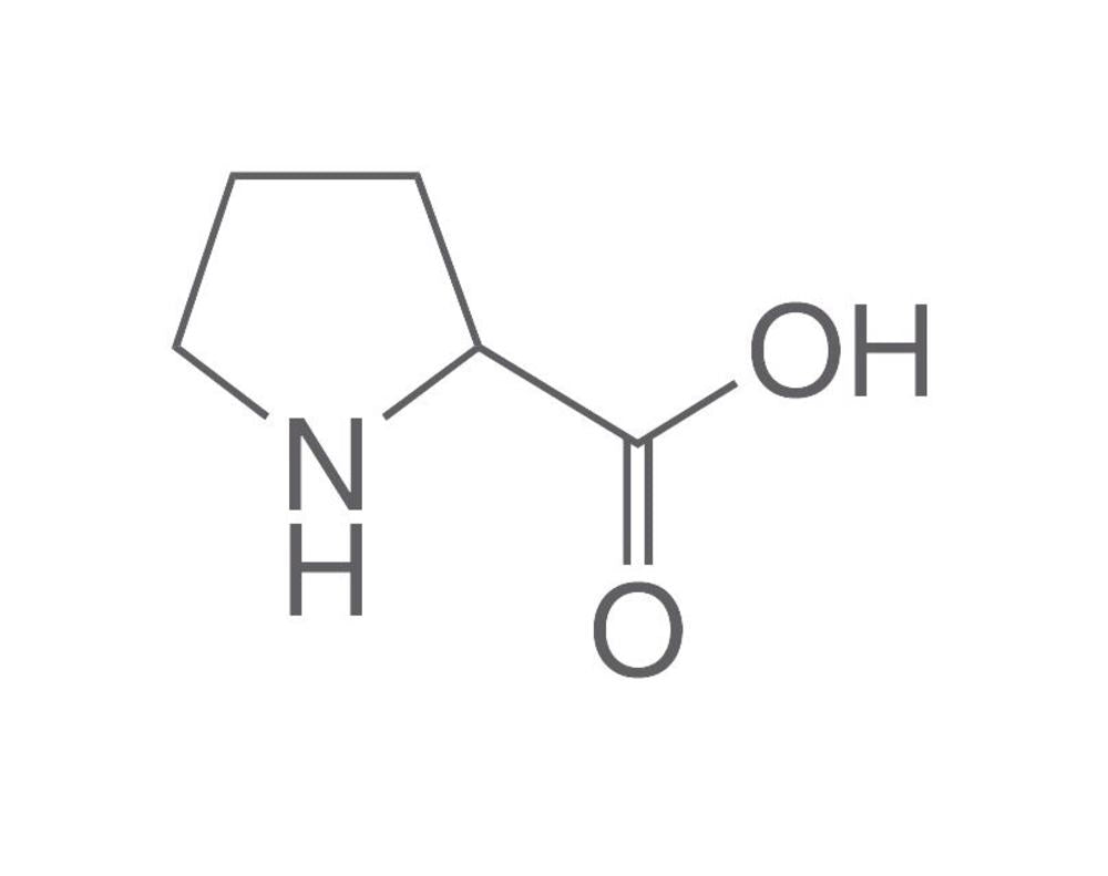 DL-Proline, min. 99 %, for biochemistry, 5 g, plastic - Luminix Health