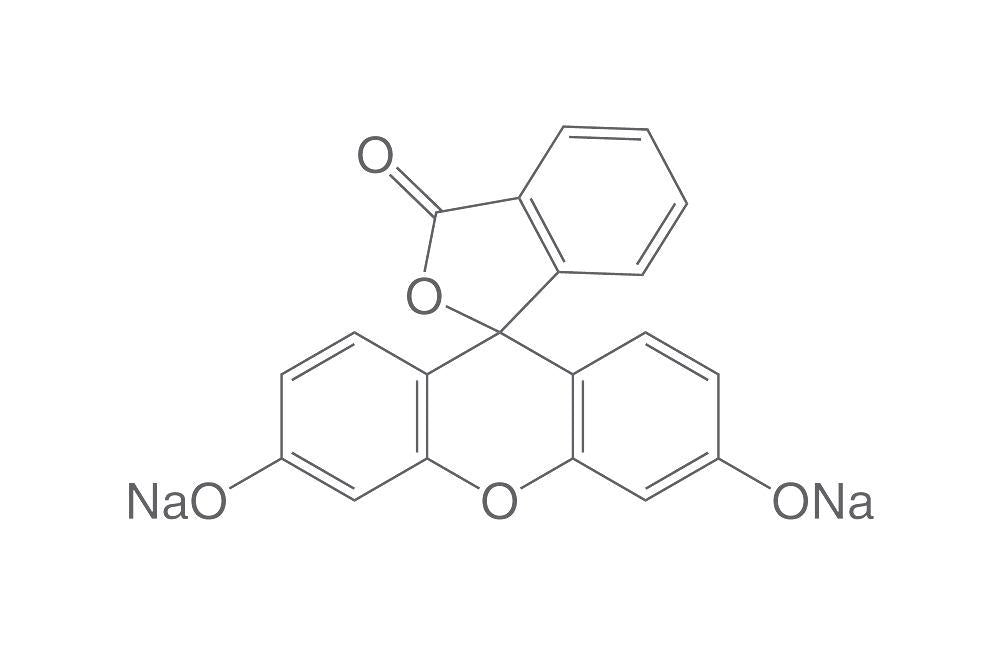 Fluorescein disodium salt, C.I. 45350, extra concentrated, 25 g, glass - Luminix Health