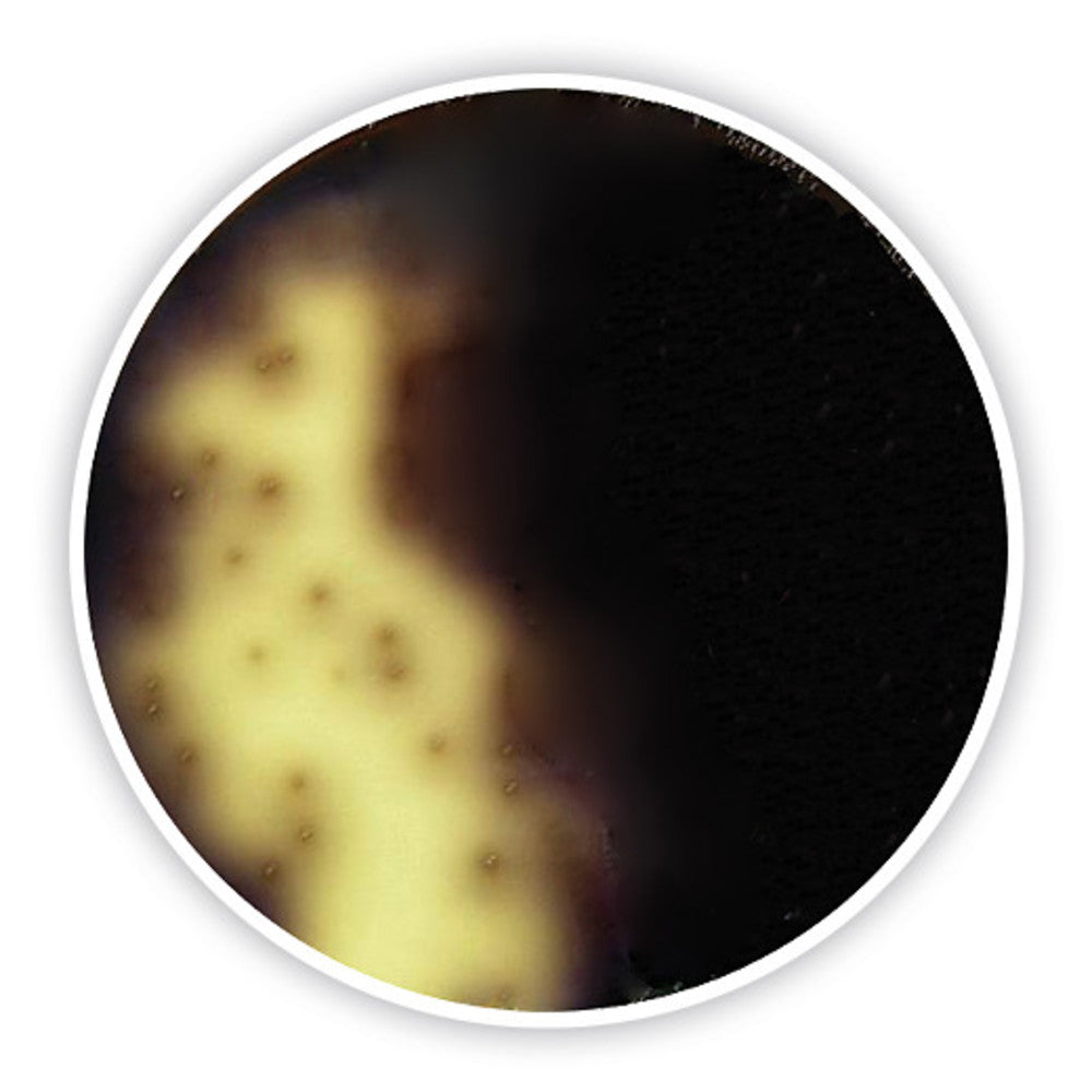 Oxford Listeria Agar (Base), ISO 11290-1, for microbiology, 500 g, plastic - Luminix Health