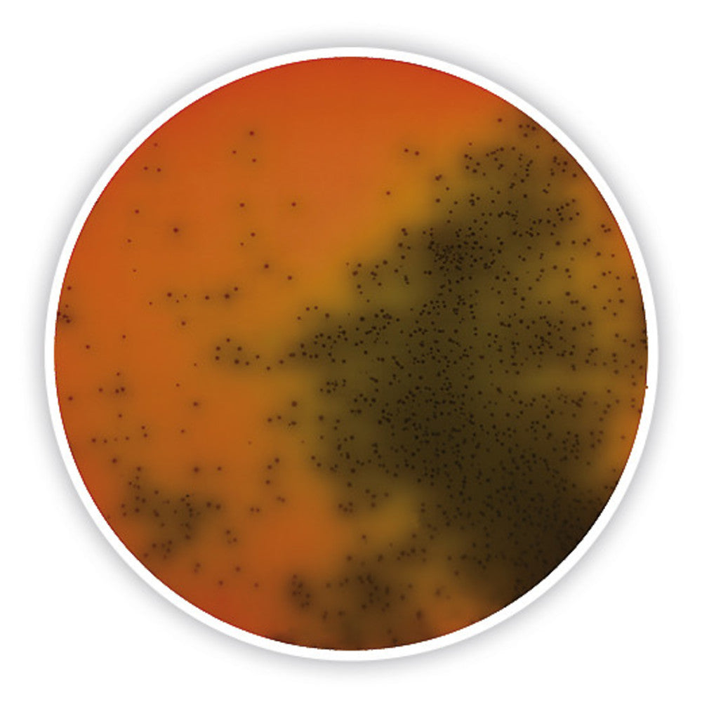 Palcam Listeria Agar (Base), ISO 11290-1, for microbiology, 500 g, plastic - Luminix Health