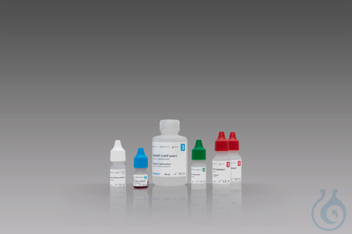 Image of LeukoGnost ACP Kit 50 Tests - Luminix Health