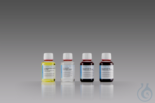 Image of LeukoGnost PERLS Kit 100 Tests - Luminix Health