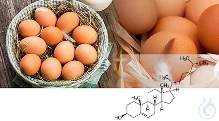 Image of CDR FoodLab CHOLESTEROL ON EGGS Test Kit - Luminix Health