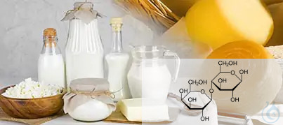Image of CDR FoodLab LACTOSE Test Kit - Luminix Health