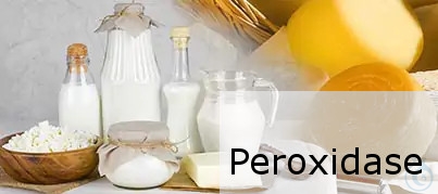 Image of CDR FoodLab PEROXIDASE Test Kit for milk - Luminix Health
