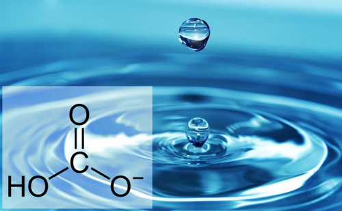 Image of CDR FoodLab Bicarbonate water Test Kit - Luminix Health