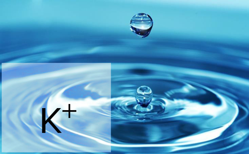 Image of CDR FoodLab Potassium water Test Kit - Luminix Health