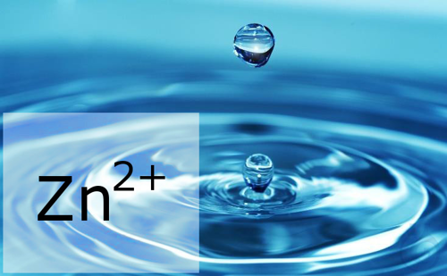 Image of CDR FoodLab Zinc water Test Kit - Luminix Health