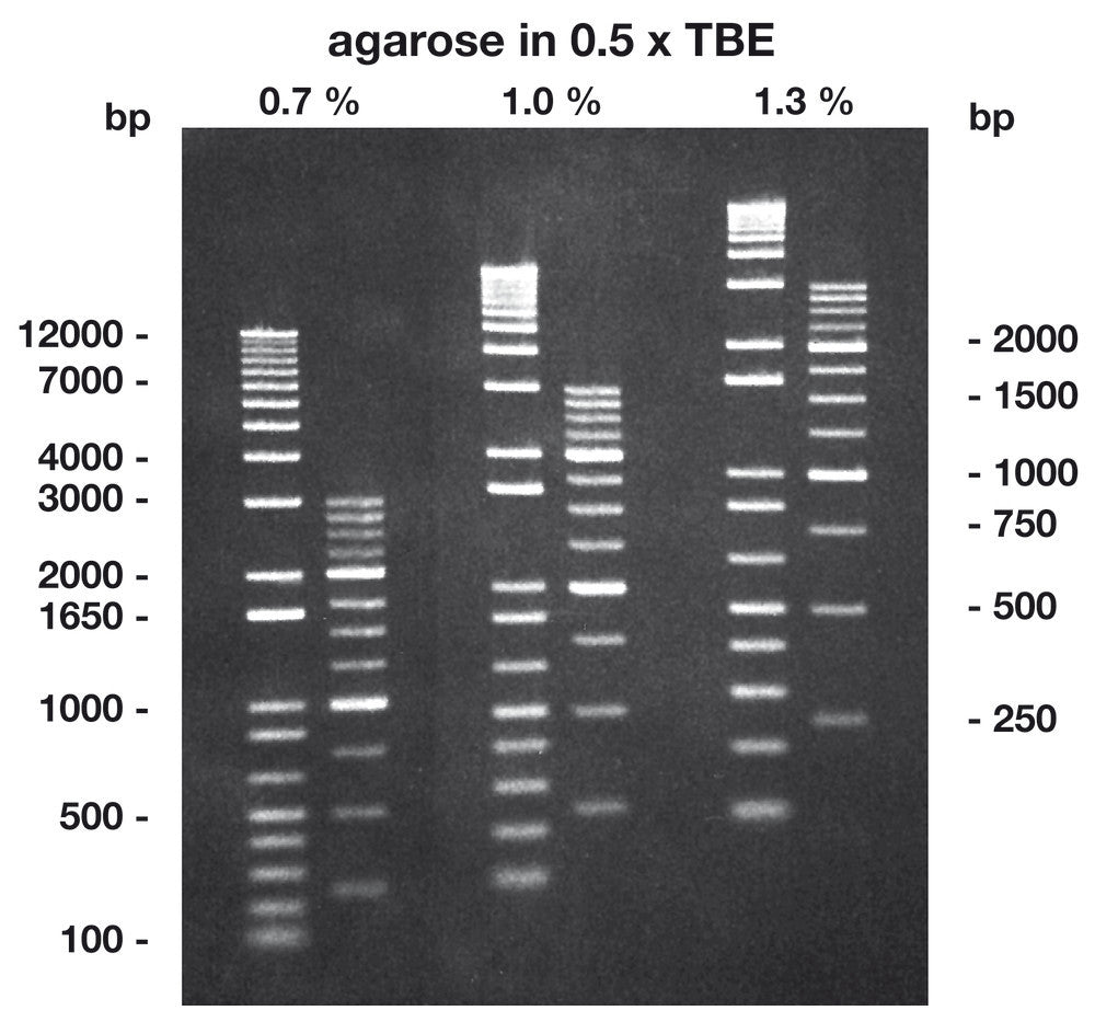 Agarose Low Melt ROTI®Garose, with low melting and, 5 g, plastic - Luminix Health