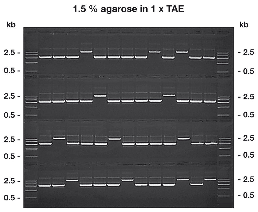 Agarose GTQ ROTI®Garose, Genetic engineering quality, 10 g, plastic - Luminix Health